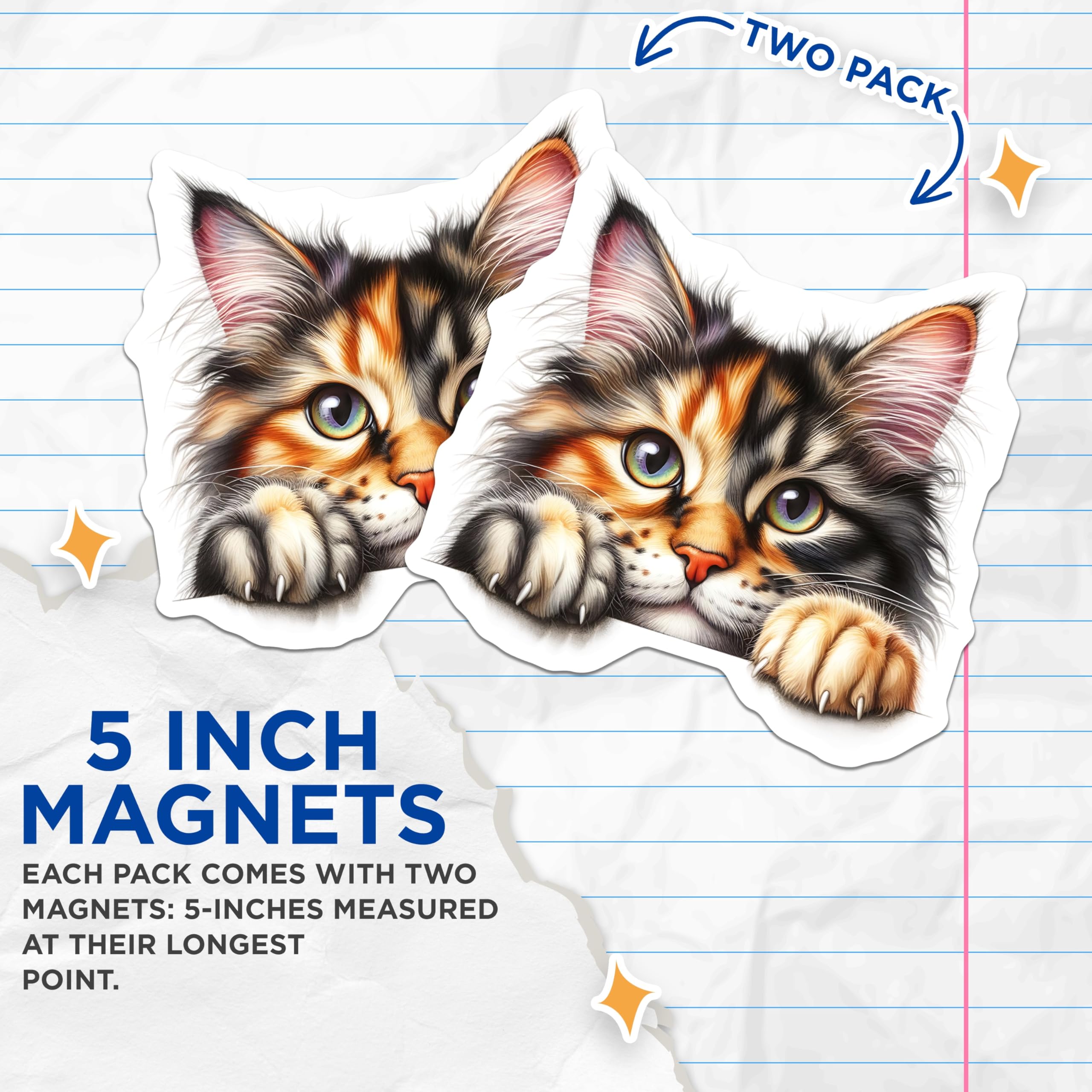 (2 Pack) Maine Coon Cat Magnets - Cute Kitty Decor - Fridge Magnets - 5" On Longest Side - Premium Magnet - for Cars, Refrigerators, Toolboxes, Lockers - Made in USA - MAG14529