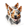 (2 Pack) Australian Cattle Dog Magnets - Smiling Blue Heeler Art - Dog Lover Fridge Decor - 5 Inches On Longest Side - Thick Durable Magnet - Made in USA - MAG23747