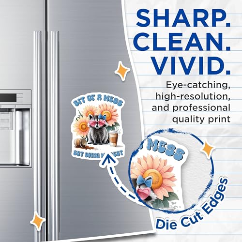 (2 Pack) Funny Raccoon Kitchen Decor Magnet - 5" On Longest Side - Sticks to Smooth Flat Surfaces - Made in USA - MAG9709
