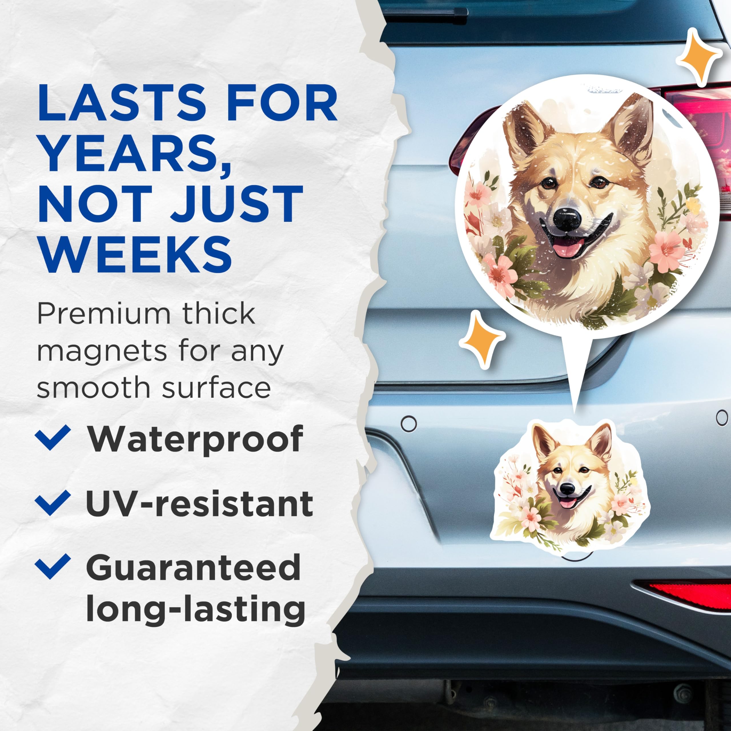 (2 Pack) Floral Corgi Magnets - Cute Dog Lover Decor - Whimsical Pet Refrigerator Art - 5 Inches On Longest Side - Thick Durable Magnet - Made in USA - MAG29934