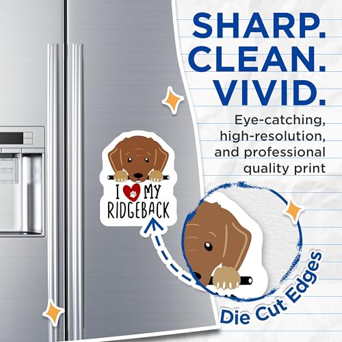 (2 Pack) I Love My Ridgeback Magnets - Dog Lover Accessories - Cute Dog Magnets for Fridge Car Locker Office - 5" On Longest Side - for Cars, Fridges, Toolboxes - Made in USA - MAG4295