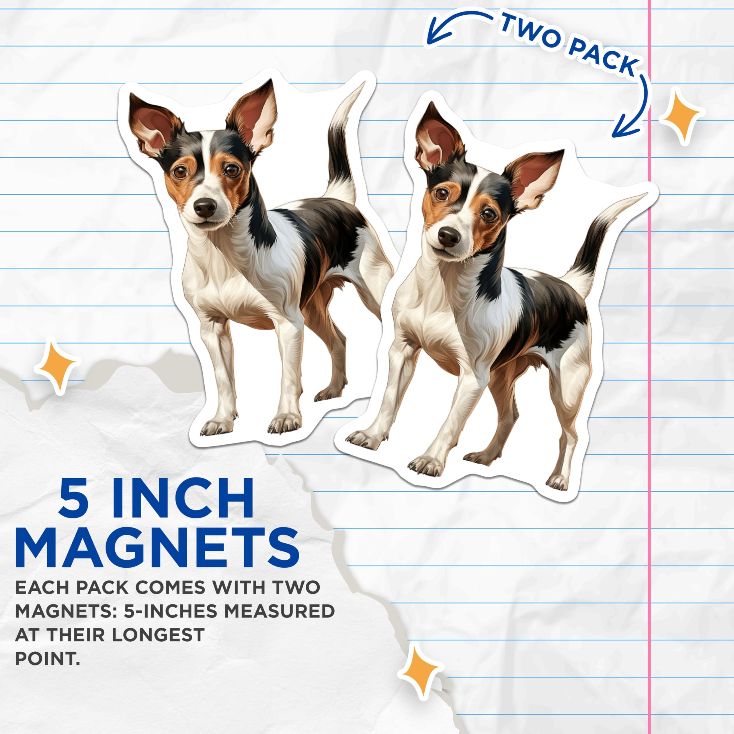 (2 Pack) Rat Terrier Dog Magnets - Small Dog Art Decor - Pet Lover Refrigerator Magnets - 5 Inches On Longest Side - Thick Durable Magnet - Made in USA - MAG25355