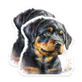 (2 Pack) Rottweiler Puppy Magnets - Dog Lover Decor - Refrigerator Magnets - 5" On Longest Side - Premium Magnet - for Cars, Refrigerators, Toolboxes, Lockers - Made in USA - MAG15403
