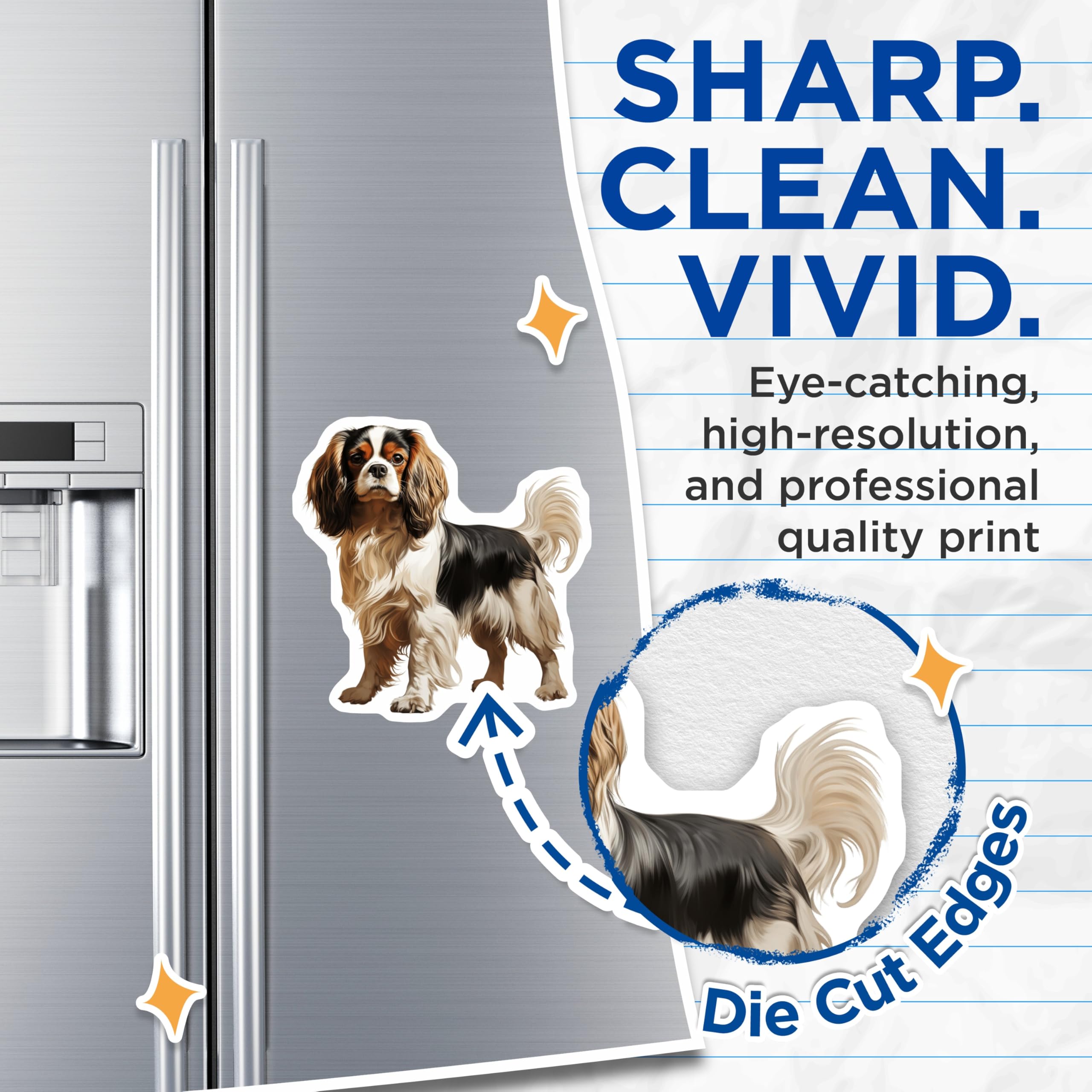 (2 Pack) Cavalier King Charles Spaniel Magnets - Tri-Color Dog Lover - Pet Memorial Keepsake for Dog Mom - 5 Inches On Longest Side - Thick Durable Magnet - Made in USA - MAG26610