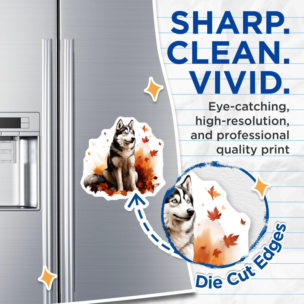 (2 Pack) Siberian Husky Magnets - Fall Autumn Dog Decor - Pet Lover Refrigerator Magnets - Animal Lover Kitchen Locker - 5 Inches On Longest Side - Thick Durable Magnet - Made in USA - MAG28356