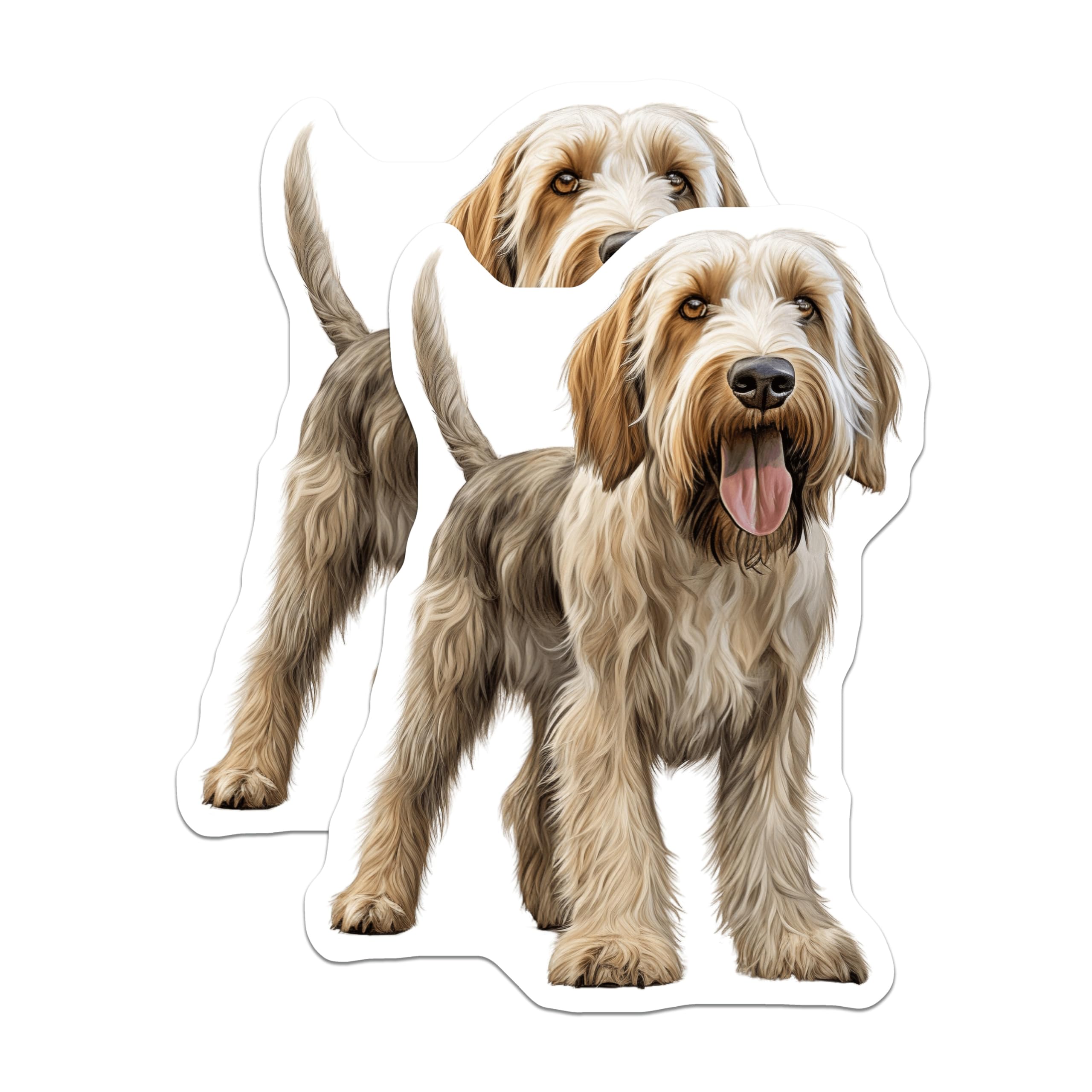 (2 Pack) Grand Basset Griffon Vendeen Magnets - Beloved Dog Breed Art - Shaggy Hound Enthusiast Decor - 5 Inches On Longest Side - Thick Durable Magnet - Made in USA - MAG23598