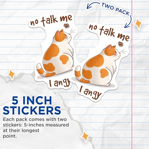(2 Pack) No Talk Me I Angy Cat Stickers - Funny Cat Quote Stickers - Cute Angry Cat Stickers - 5" On Longest Side - Sticks to Any Smooth Flat Surface - Made in USA - BMCS3314