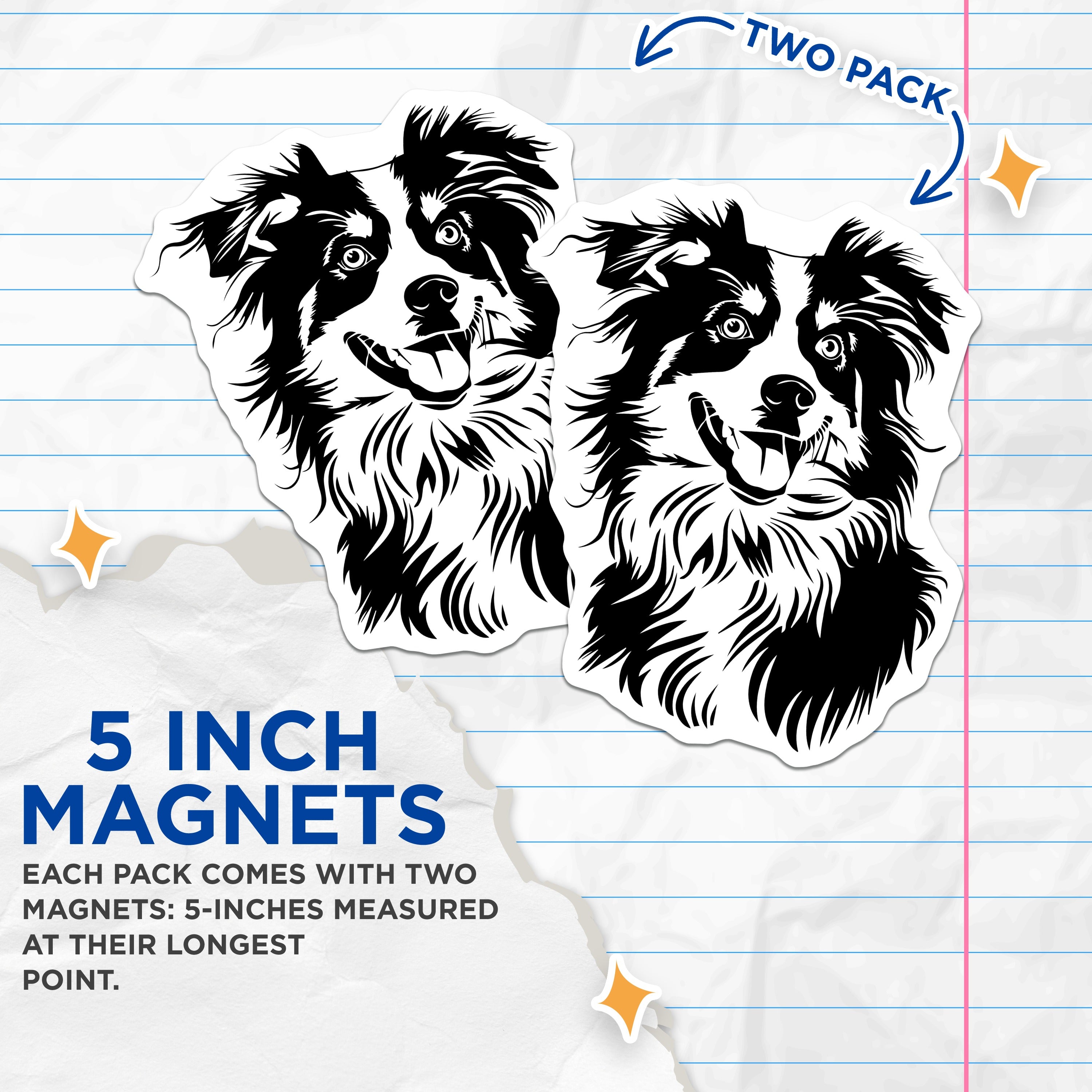 (2 Pack) Border Collie Dog Magnets - Cute Pet Fridge Decor - Animal Lover Items - Dog Mom Dad Present - 5 Inches On Longest Side - Thick Durable Magnet - Made in USA - MAG37448