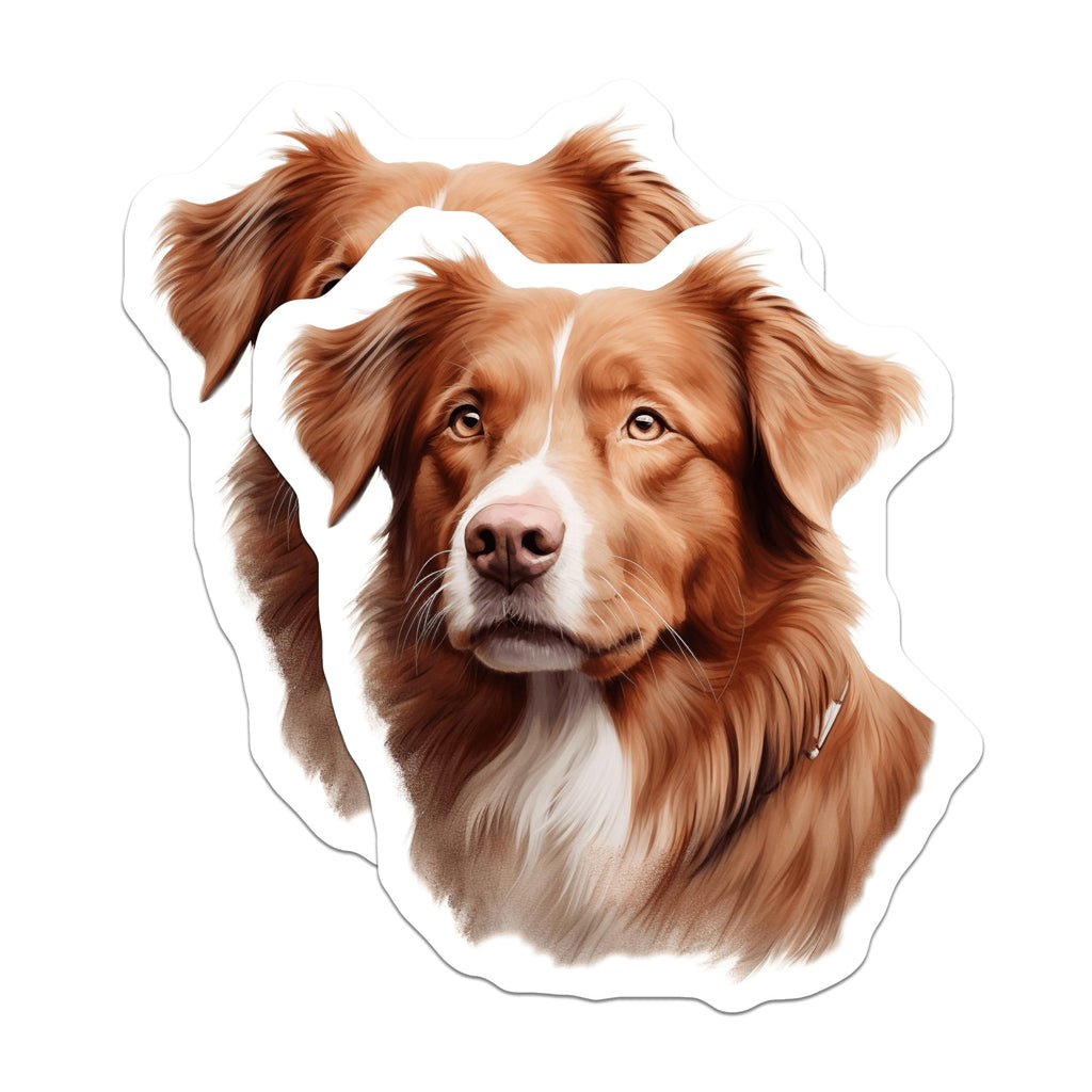 (2 Pack) Nova Scotia Duck Tolling Retriever Magnets - Toller Dog Parent - Animal Lover Home Decor - 5 Inches On Longest Side - Thick Durable Magnet - Made in USA - MAG29960
