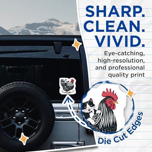 (2 Pack) Funny Chicken and Cat Stickers - Hilarious Farm Animal Decals - Quirky Pet Themed Stickers - 5" On Longest Side - Sticks to Smooth Flat Surfaces - Made in USA - BMCS5828