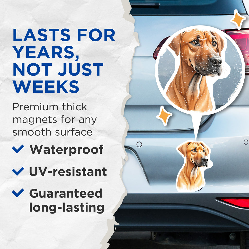(2 Pack) Rhodesian Ridgeback Dog Magnets - Pet Portrait - Dog Breed Art - 5 Inches On Longest Side - Thick Durable Magnet - Made in USA - MAG39093