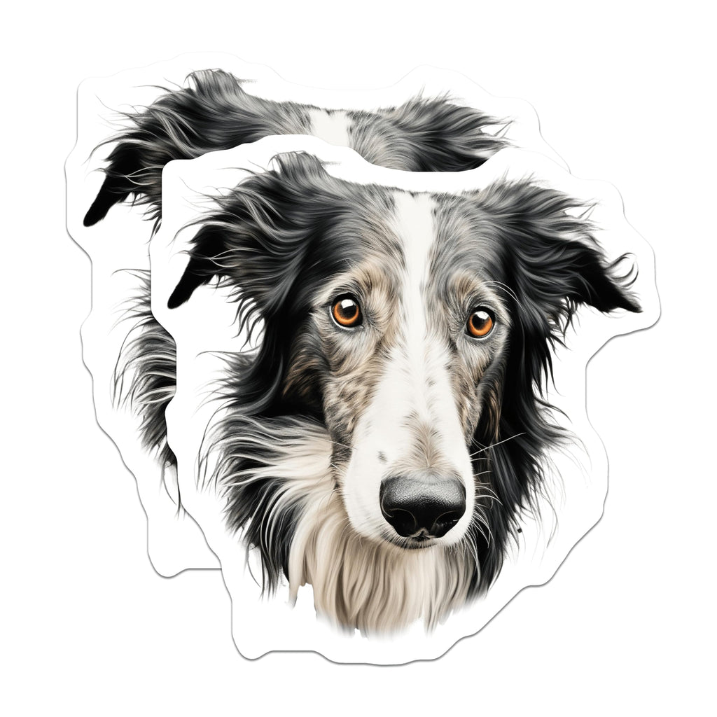 (2 Pack) Border Collie Magnets - Dog Breed Lover Pet Decor - Animal Portrait Refrigerator Magnet - 5 Inches On Longest Side - Thick Durable Magnet - Made in USA - MAG30666