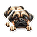 (2 Pack) Pug Stickers - Cute Dog Decal - Funny Pet Stickers - Puppy Stickers - 5" On Longest Side - Sticks to Smooth Flat Surfaces - Made in USA - BMCS14560