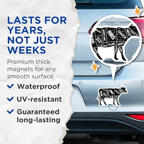 (2 Pack) Cow Butchery Guide Magnets Magnets - Kitchen Decor - Cooking Reference - 5" On Longest Side - Made in USA - Sticks to Refrigerators & Metal Surfaces - MAG9219