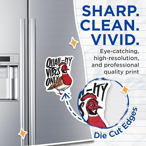 (2 Pack) Quail-ity Vibes Only Magnets - Fun Quail Magnets - Animal-Themed ation - 5" On Longest Side - for Cars, Fridges, Toolboxes - Made in USA - MAG4255