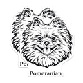 (2 Pack) Pomeranian Dog Magnets - Cute Pet Magnets - Animal Lover Magnets - 5" On Longest Side - for Cars, Fridges, Toolboxes - Made in USA - MAG4027
