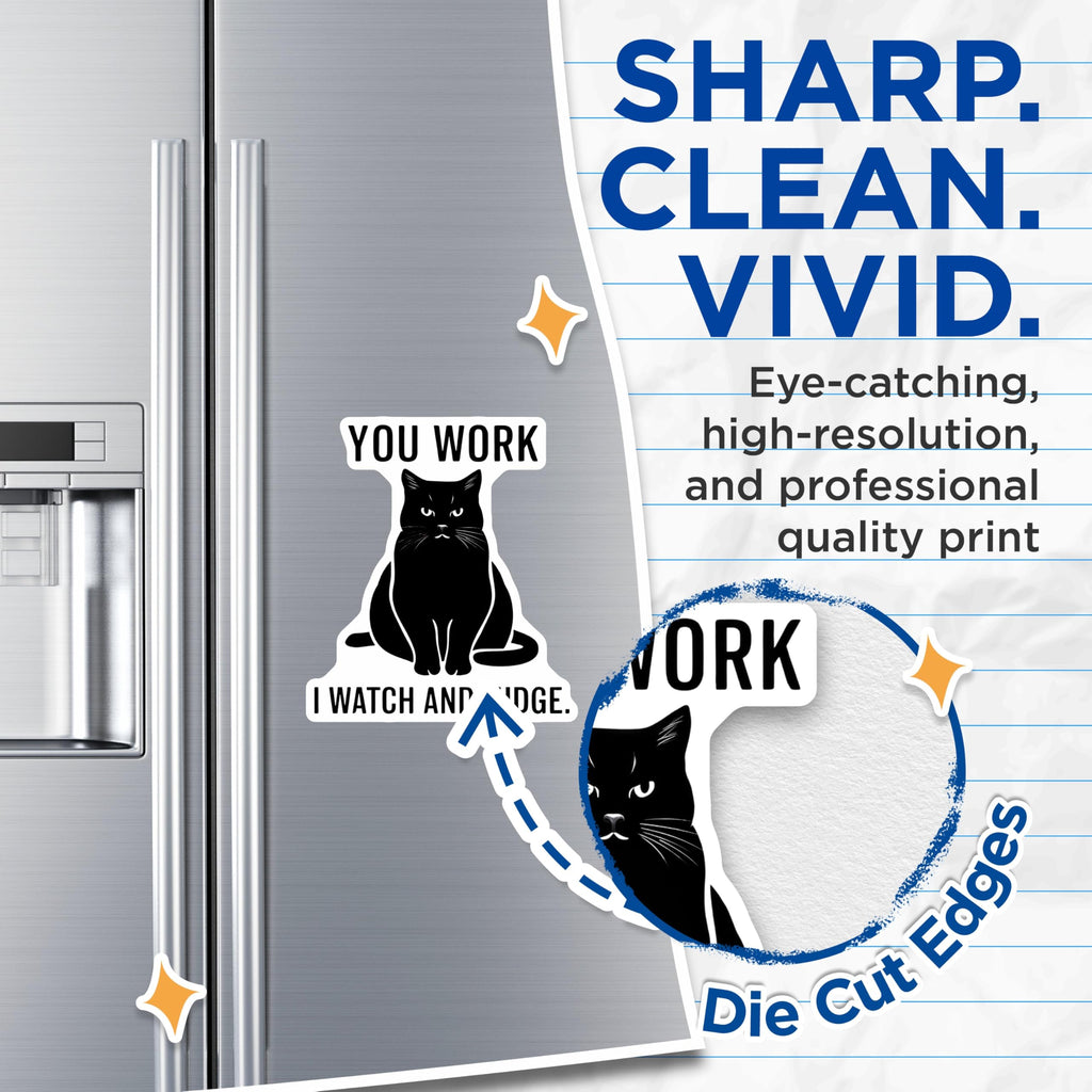 (2 Pack) Cat Magnets - Funny Cat Sayings - Sarcastic Cat Humor - 5" On Longest Side - Premium Magnet - for Cars, Refrigerators, Toolboxes, Lockers - Made in USA - MAG14525