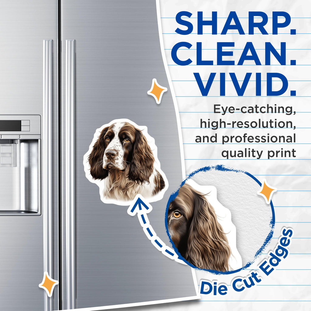 (2 Pack) Springer Spaniel Magnets - Dog Lover Refrigerator Decor - Canine Portrait Art - 5 Inches On Longest Side - Thick Durable Magnet - Made in USA - MAG30862
