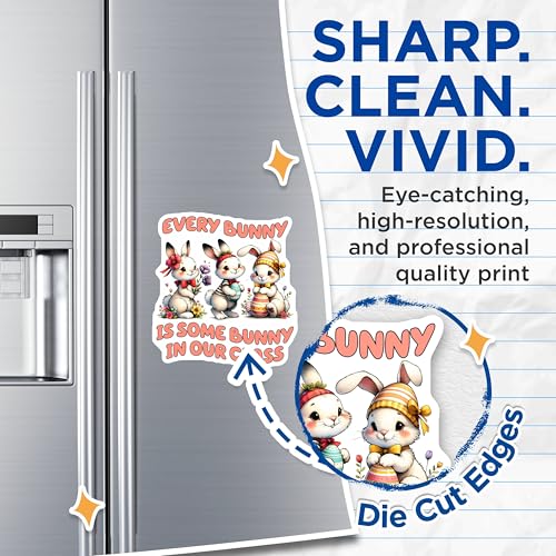(2 Pack) Every Bunny is Some Bunny in Our Class Magnets - 5" On Longest Side - for Cars, Fridges, Toolboxes - Made in USA - MAG814