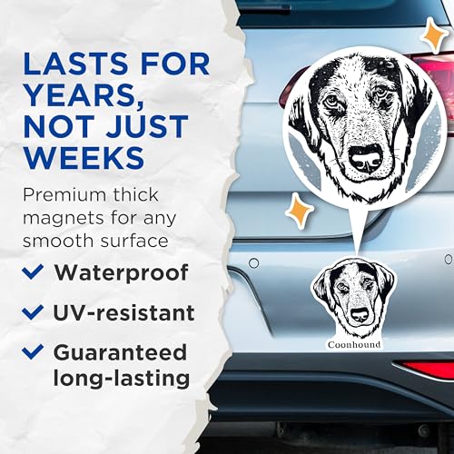 (2 Pack) Coonhound Dog Magnets - Pet Lover Fridge Magnets - Animal Themed Kitchen Magnets - 5" On Longest Side - for Cars, Fridges, Toolboxes - Made in USA - MAG4017