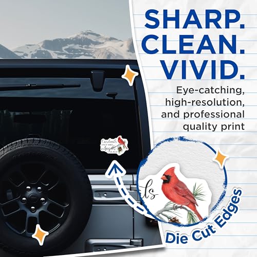 (2 Pack) Cardinal Stickers - Birds Appear When Angels are Near Decal - Nature Sticker - 5" On Longest Side - Sticks to Smooth Flat Surfaces - Made in USA - BMCS8627