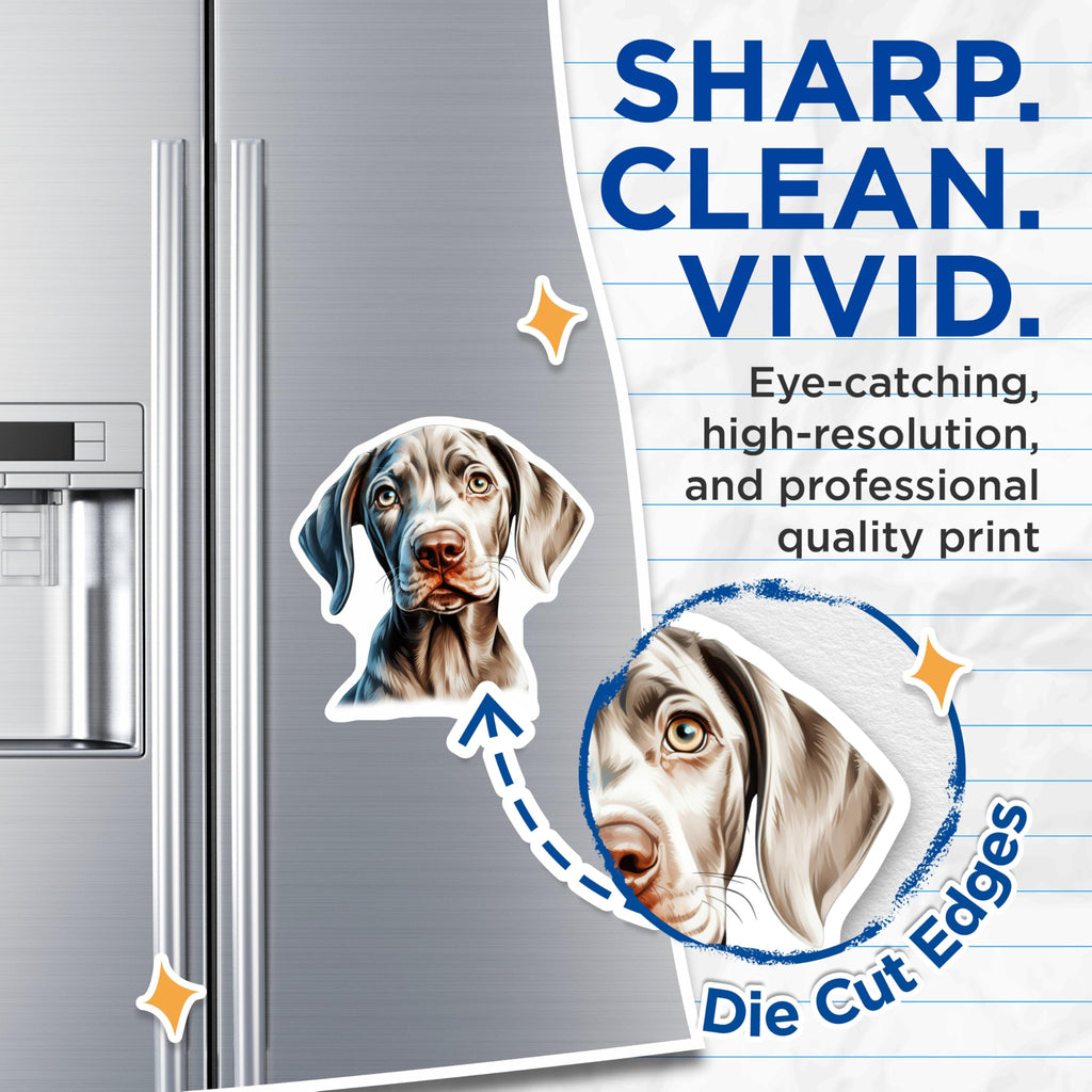 (2 Pack) Weimaraner Dog Magnets - Pet Lover Decor - Animal Fridge Art - 5 Inches On Longest Side - Thick Durable Magnet - Made in USA - MAG27307