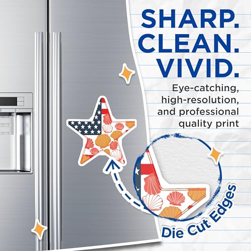 (2 Pack) Star Shell Magnets Magnets - 5" On Longest Side - Made in USA - Sticks to Refrigerators & Metal Surfaces - MAG8975