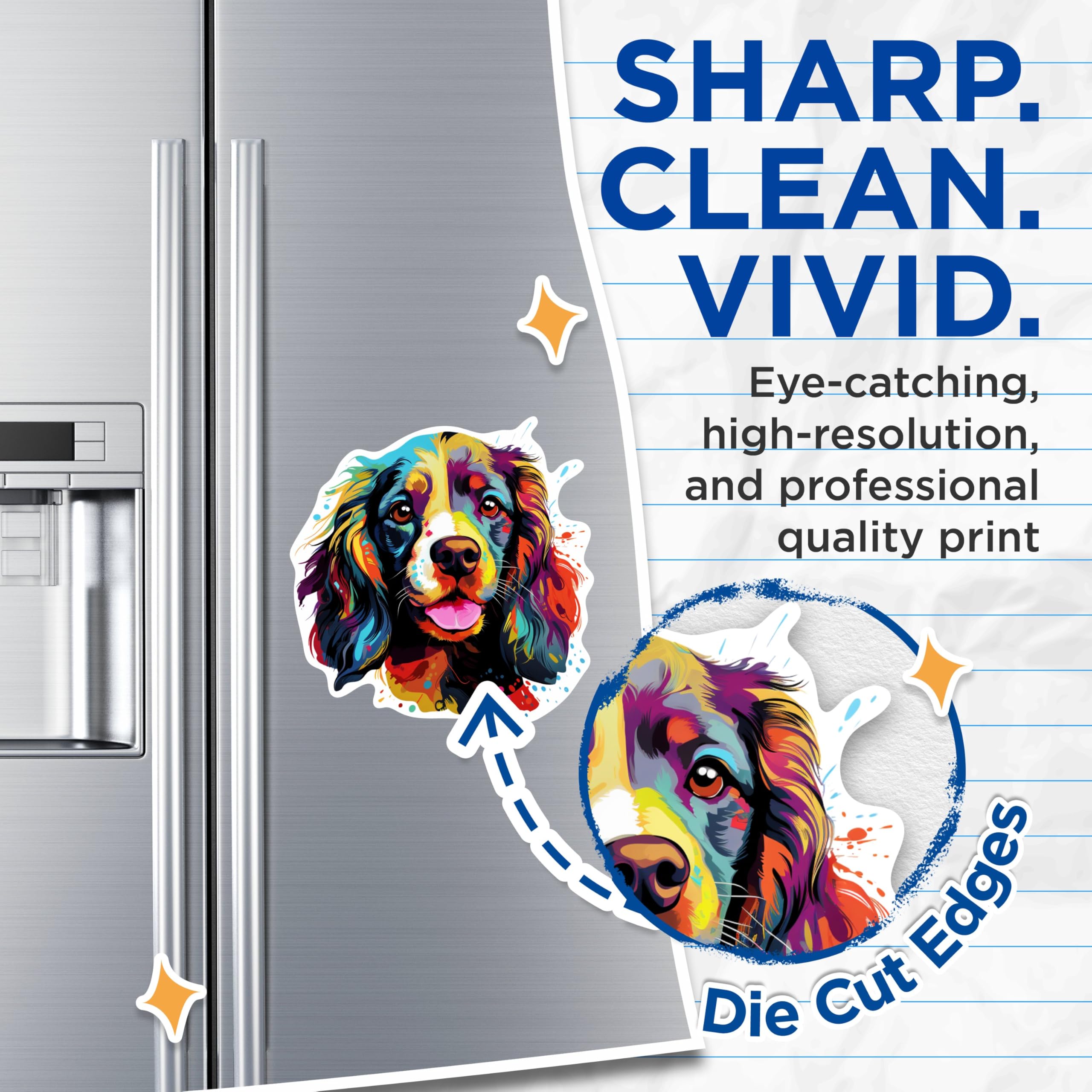 (2 Pack) English Cocker Spaniel Dog Breed Magnets - 5 Inches On Longest Side - Choose from Over 100 Dog Breeds - for Cars, Refrigerators, Toolboxes - Made in USA - MAG1850