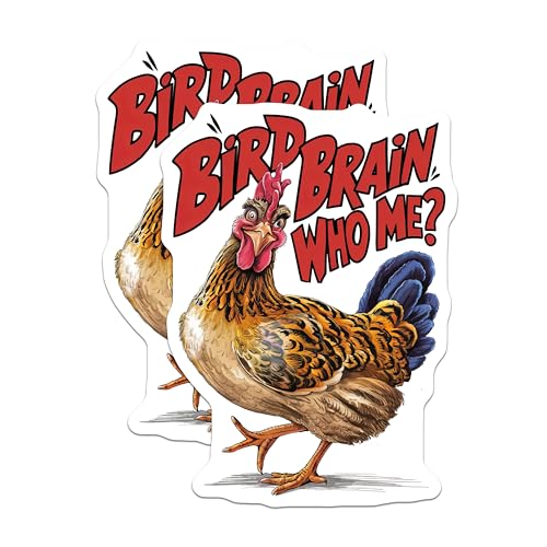 (2 Pack) Bird Brain Who Me Magnets - Chicken Kitchen - Funny Farm Animal Magnets - Humorous Fridge Magnets - 5" On Longest Side - for Cars, Fridges, Toolboxes - Made in USA - MAG4206