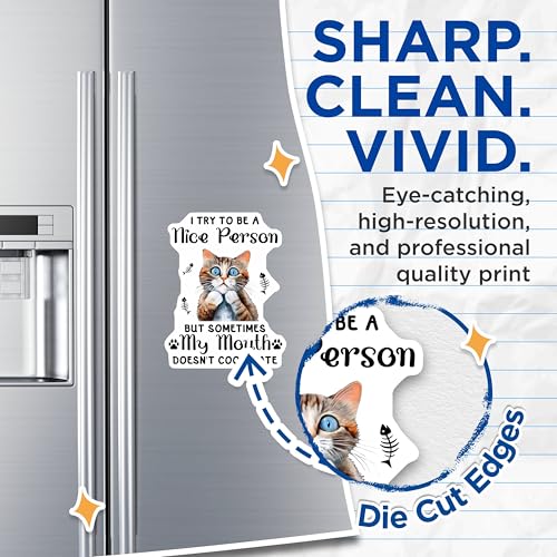 (2 Pack) Funny Cat Quote Magnets - 5" On Longest Side - for Cars, Fridges, Toolboxes - Made in USA - MAG7723