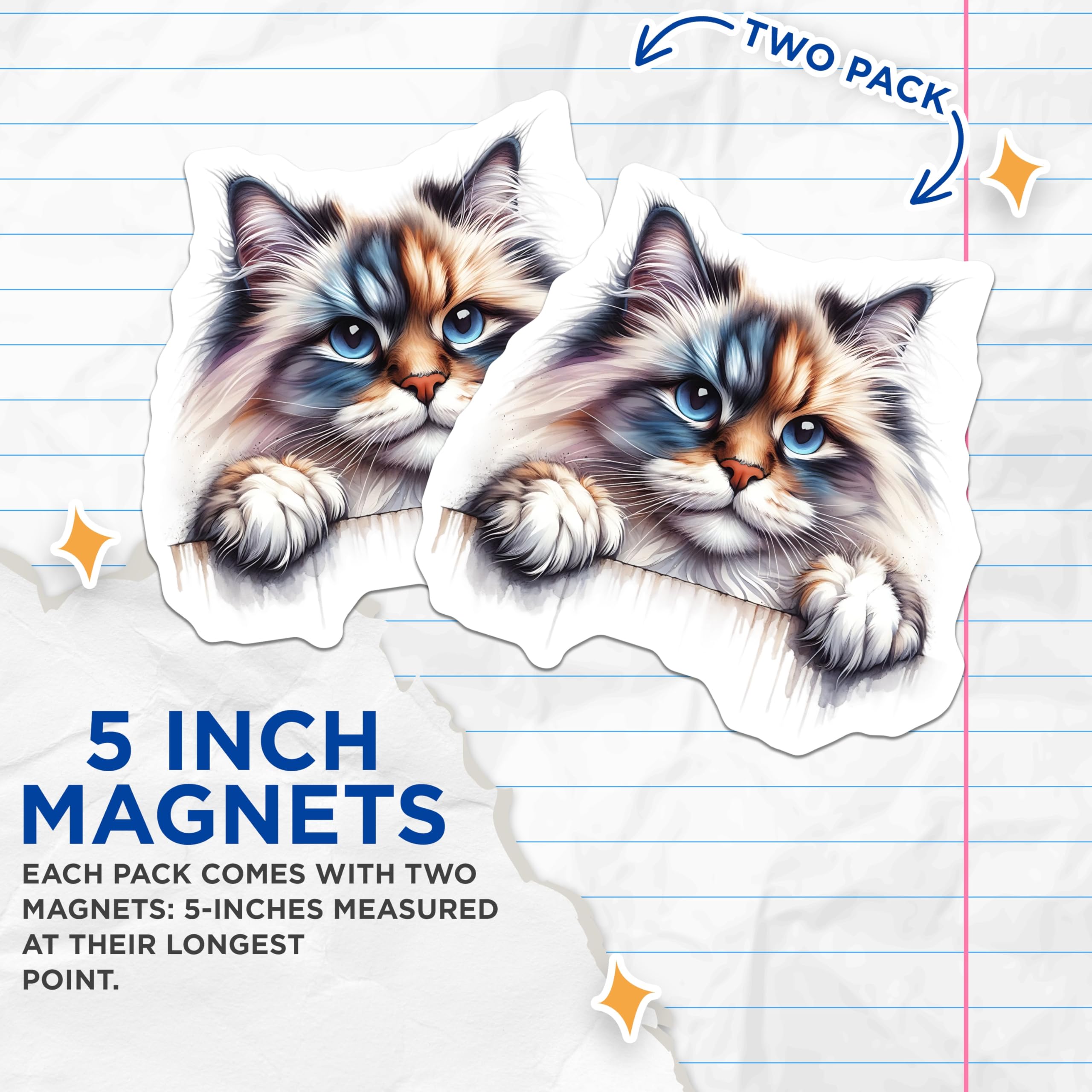 (2 Pack) Ragdoll Cat Magnets - Cute Kitten Fridge Magnets - Pet Lover Decor - 5" On Longest Side - Premium Magnet - for Cars, Refrigerators, Toolboxes, Lockers - Made in USA - MAG14207