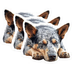 (3 Pack) Blue Heeler Decals - Sleeping Dog Decal - Australian Cattle Dog Laptop Decals - 3 Inches On Longest Side - Easy Peel & Apply - Made in USA - 3MCS8600