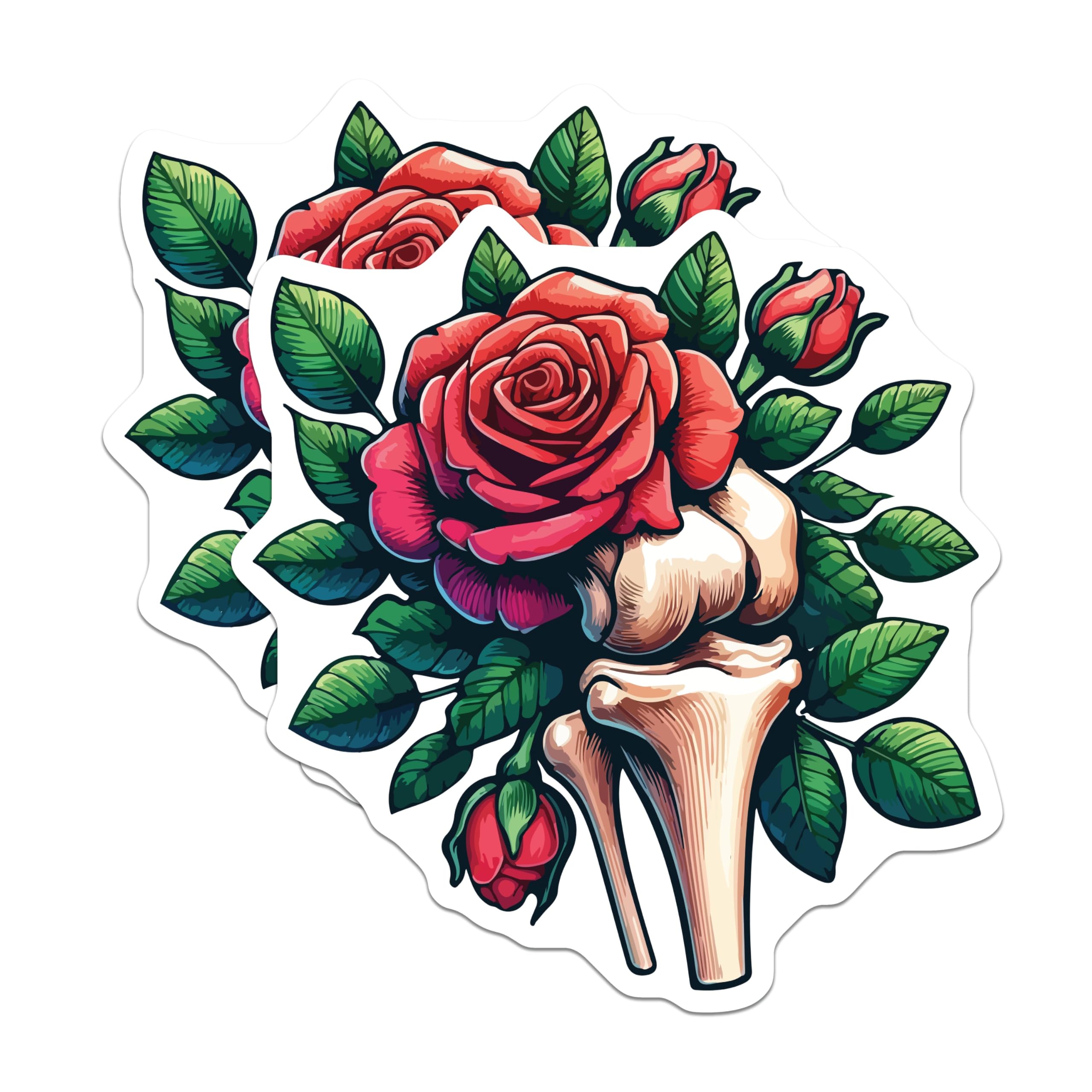 (2 Pack) Red Rose Bone Magnets - Gothic Floral Anatomy Decor - Macabre Skeleton Flower Art - Medical Botanical Display - 5 Inches On Longest Side - Thick Durable Magnet - Made in USA - MAG19582