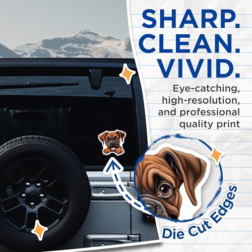 (2 Pack) Cute Boxer Dog Stickers - Puppy Dog Art - Pet Lover Decal - 5" On Longest Side - Sticks to Smooth Flat Surfaces - Made in USA - BMCS9886