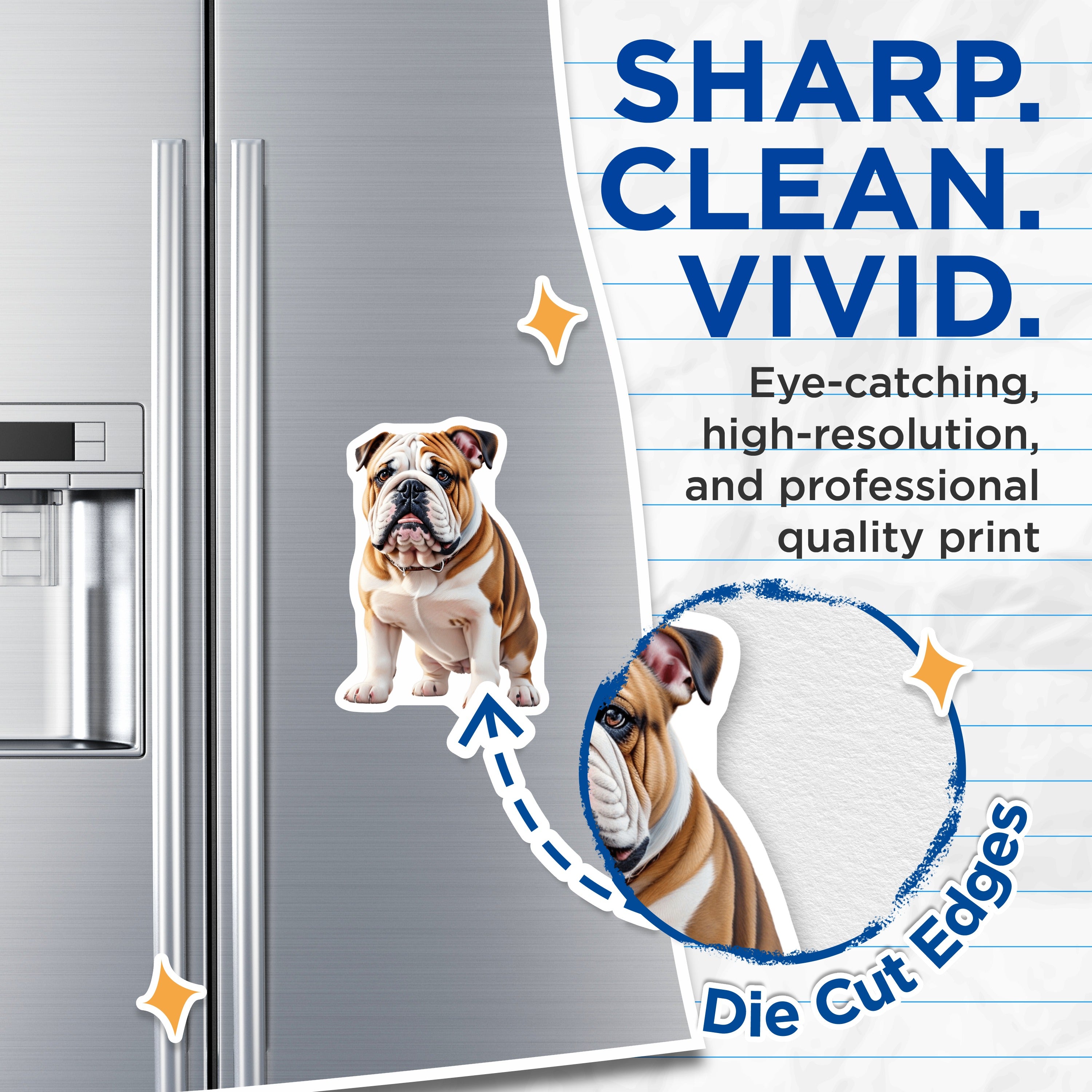 (2 Pack) English Bulldog Dog Magnets - Pet Animal Lover Accessory - Fridge Kitchen Decor - Breed Art for Dog Owners - 5 Inches On Longest Side - Thick Durable Magnet - Made in USA - MAG36370