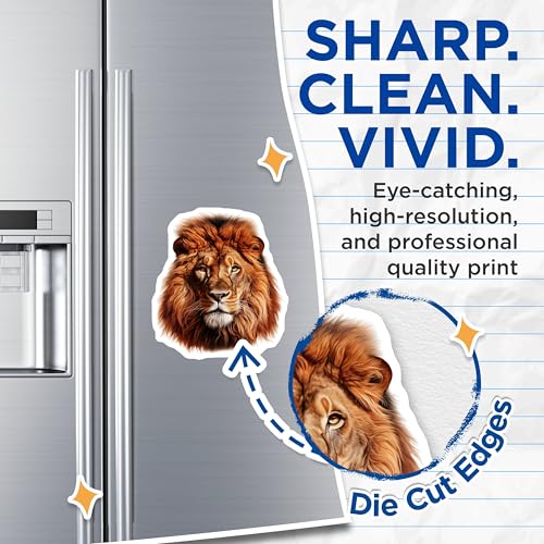 (2 Pack) Majestic Lion Head Magnets - Animal Lover Gifts - Wildlife Home - 5" On Longest Side - for Cars, Fridges, Toolboxes - Made in USA - MAG4265