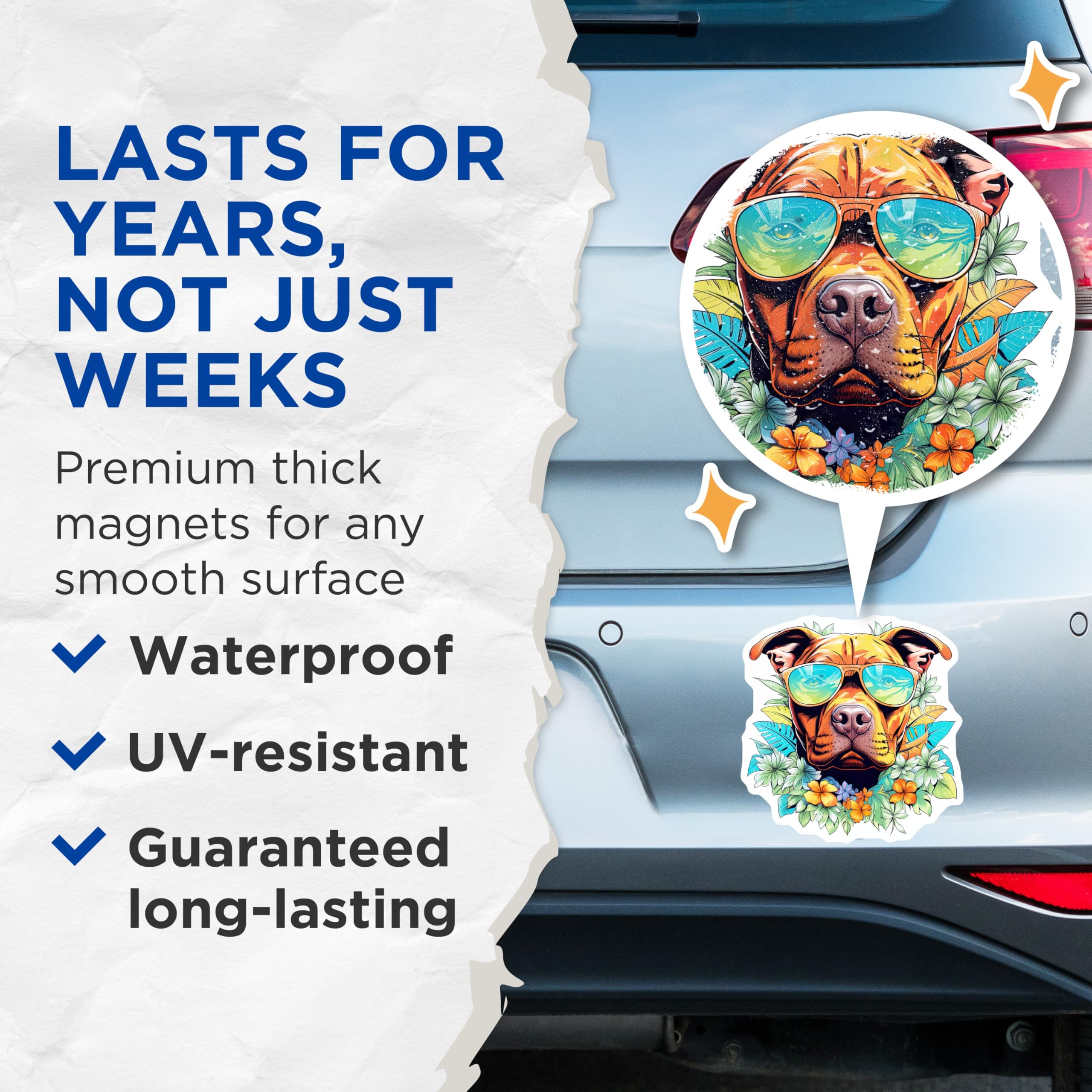 (2 Pack) Tropical Pitbull Magnets - Summer Dog Decor - Aloha Pitbull Accessories - 5 Inches On Longest Side - Thick Durable Magnet - Made in USA - MAG23058