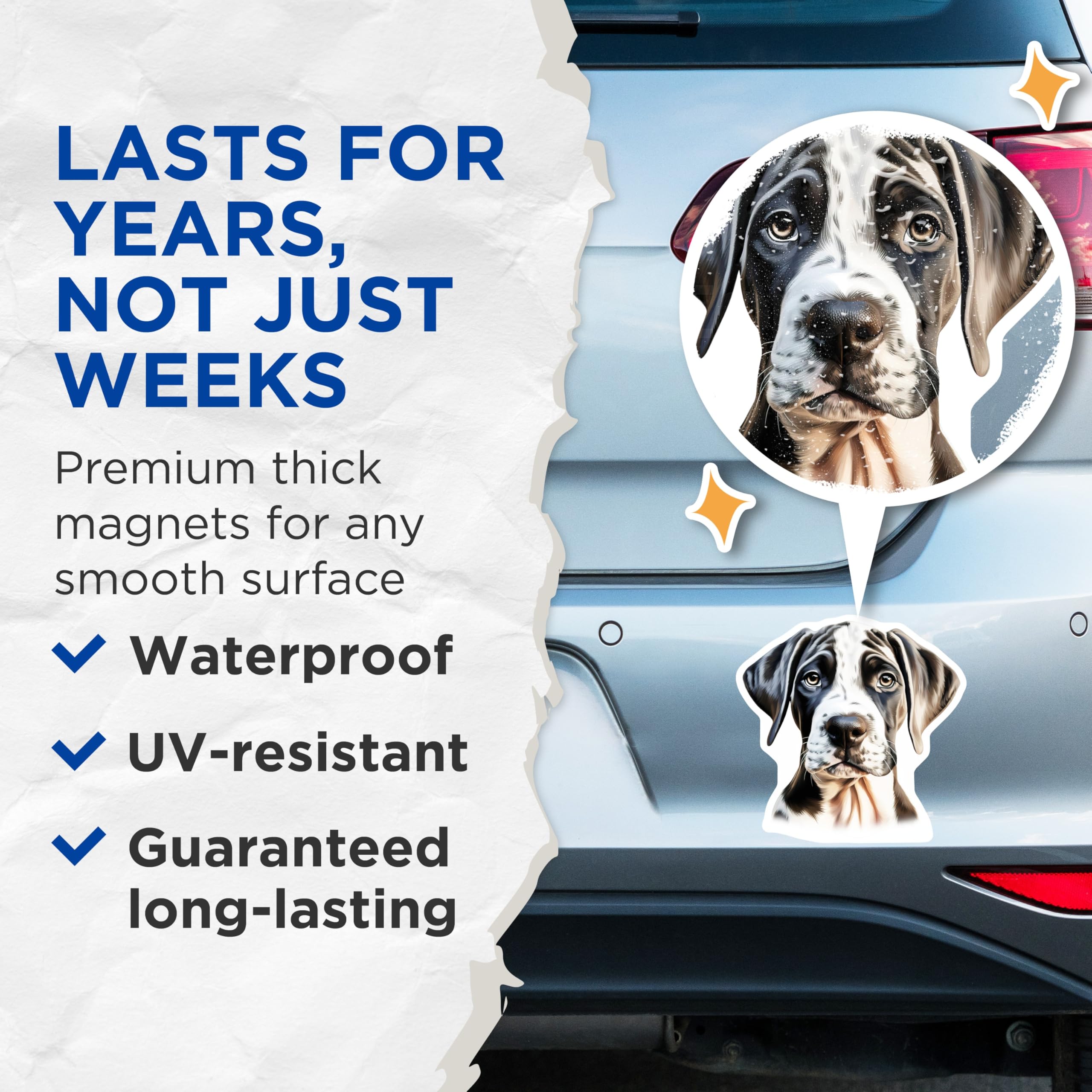 (2 Pack) Great Dane Puppy Magnets - Harlequin Dog Art - Pet Lover Home Decor - 5 Inches On Longest Side - Thick Durable Magnet - Made in USA - MAG23363