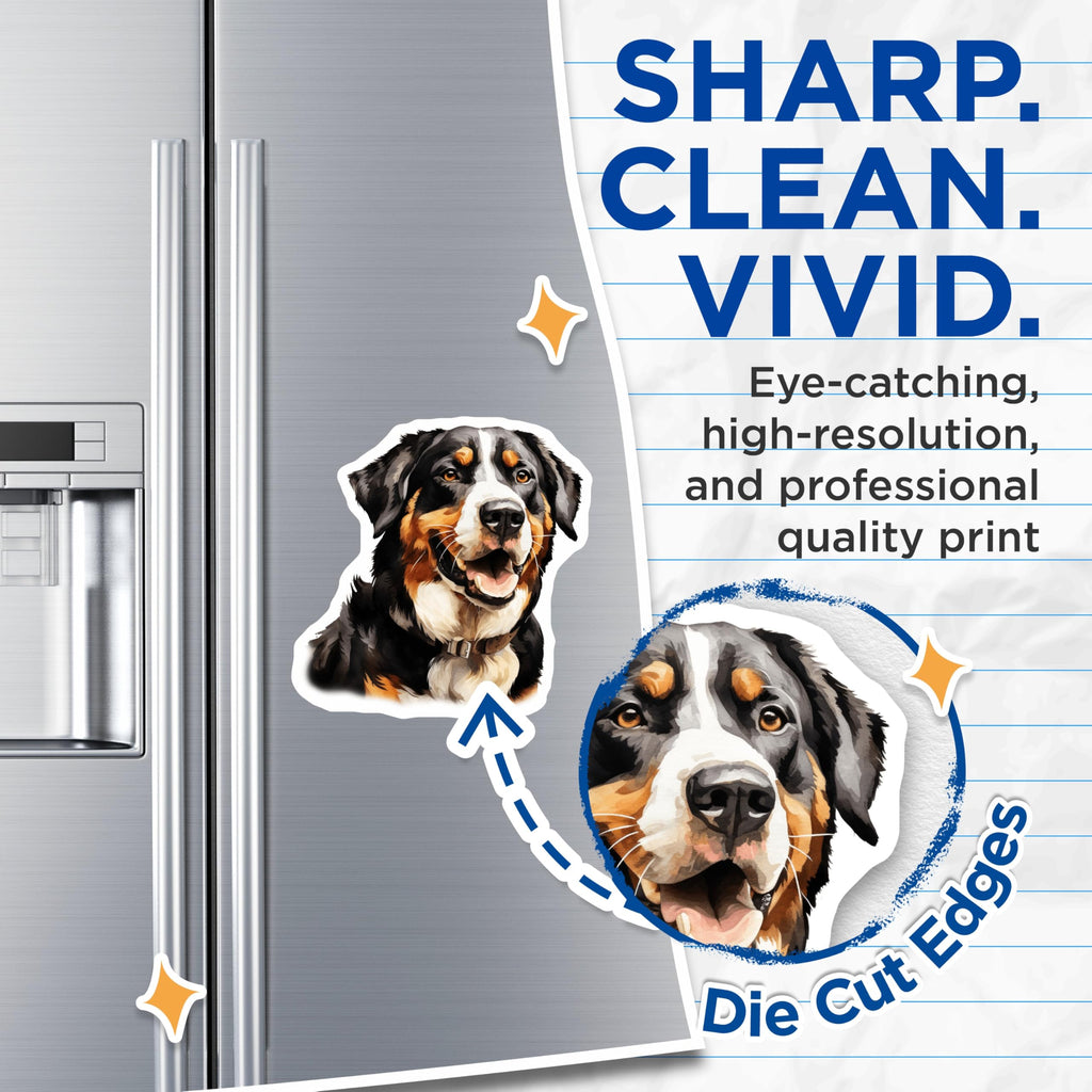 (2 Pack) Bernese Mountain Dog Magnets - Watercolor Dog Art - Dog Mom Dad Fridge Locker Decor - Pet Lover Animal Enthusiast - 5 Inches On Longest Side - Thick Durable Magnet - Made in USA - MAG25104