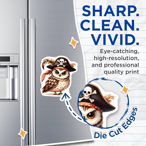 (2 Pack) Pirate Owl Magnets - Cute Pirate Owl - Adorable Animal Magnets - 5" On Longest Side - for Cars, Fridges, Toolboxes - Made in USA - MAG7063