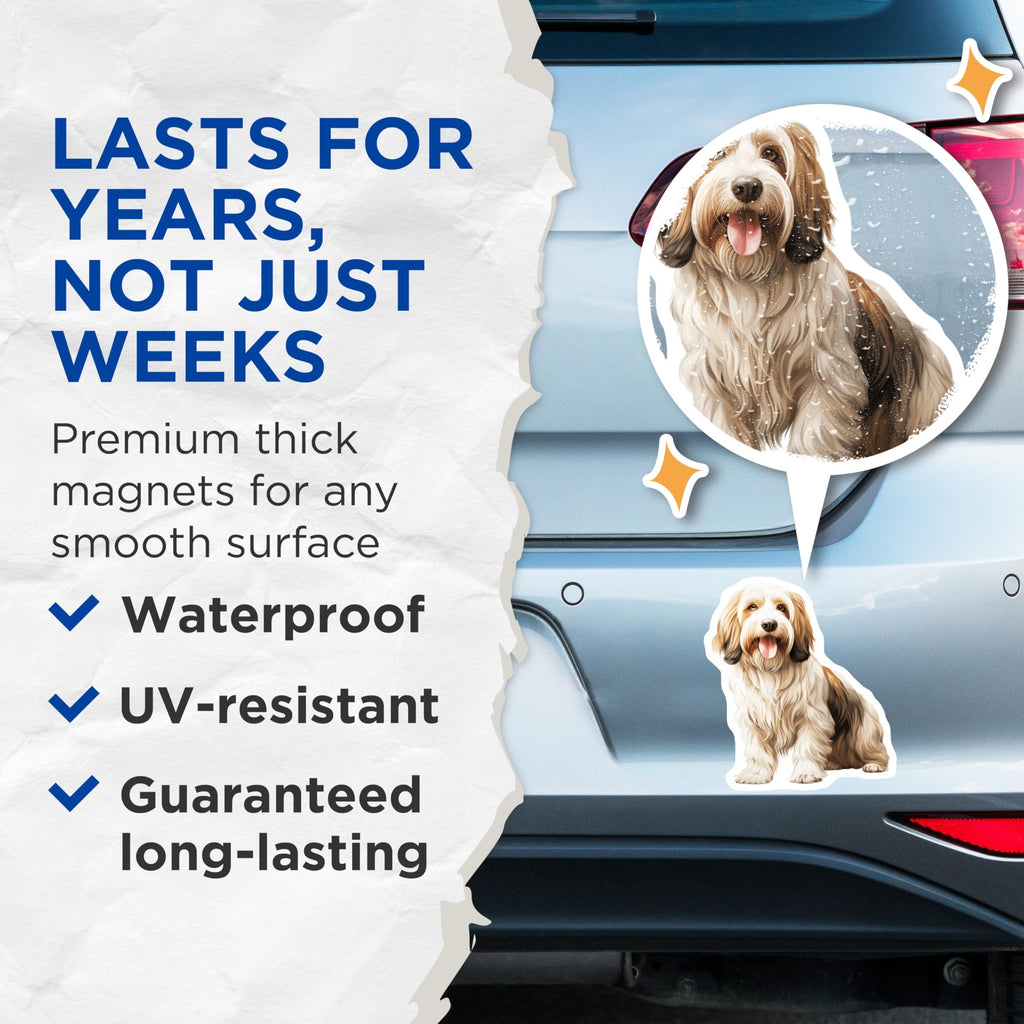 (2 Pack) Havanese Dog Magnets - Cute Pet Lover Art - Refrigerator Locker Decor - 5 Inches On Longest Side - Thick Durable Magnet - Made in USA - MAG30826