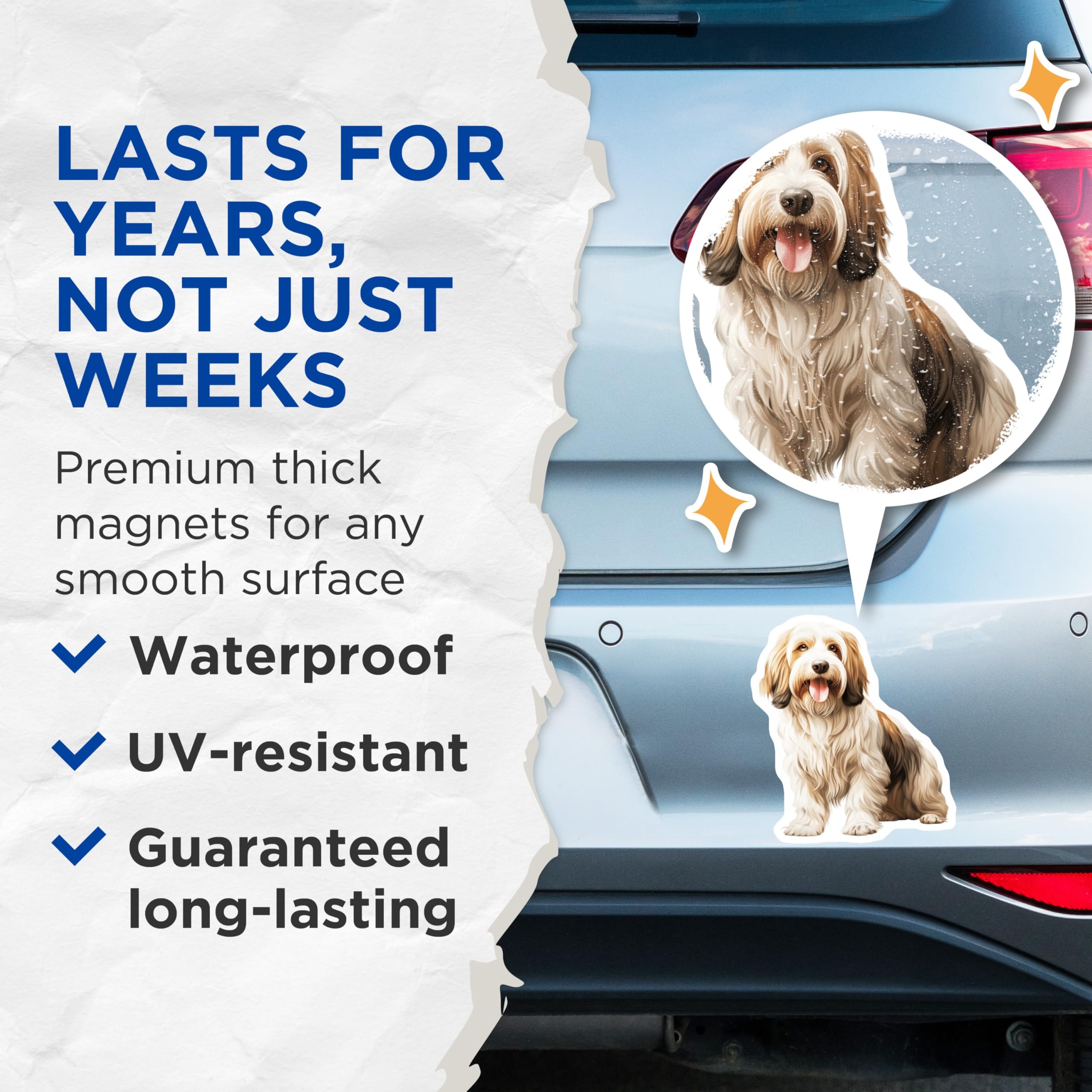 (2 Pack) Havanese Dog Magnets - Cute Pet Lover Art - Refrigerator Locker Decor - 5 Inches On Longest Side - Thick Durable Magnet - Made in USA - MAG30826