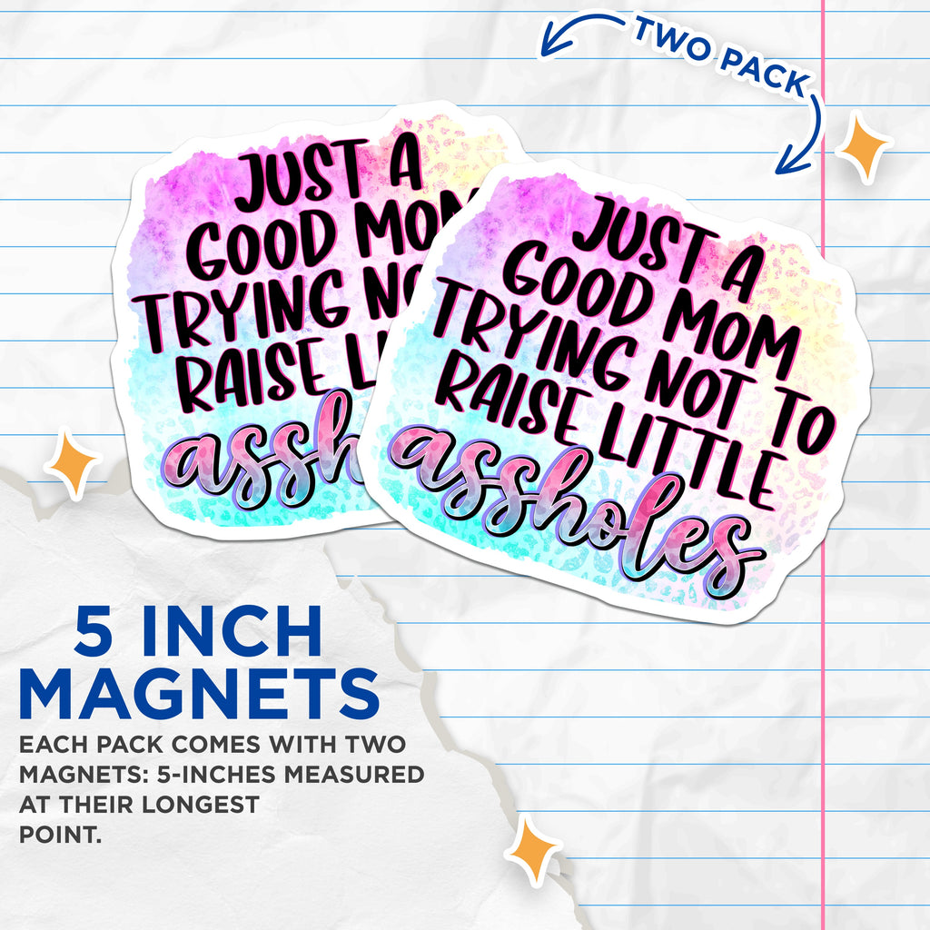 (2 Pack) Sassy Mom Magnets - Funny Parenting Humor - Cool Motherhood Quote - Refrigerator Decor - 5 Inches On Longest Side - Thick Durable Magnet - Made in USA - MAG36814