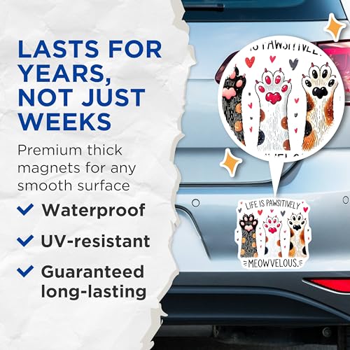 (2 Pack) Life is Pawsitively Meowvelous Magnet - Cute Kitchen Decoration - 5" On Longest Side - Sticks to Smooth Flat Surfaces - Made in USA - MAG9632