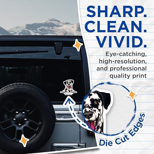 (2 Pack) Dalmatian Dog Stickers - Cute Dog Lover Stickers - Dog Breed Decals for Laptops and Water Bottles - 5" On Longest Side - Sticks to Smooth Flat Surfaces - Made in USA - BMCS4213