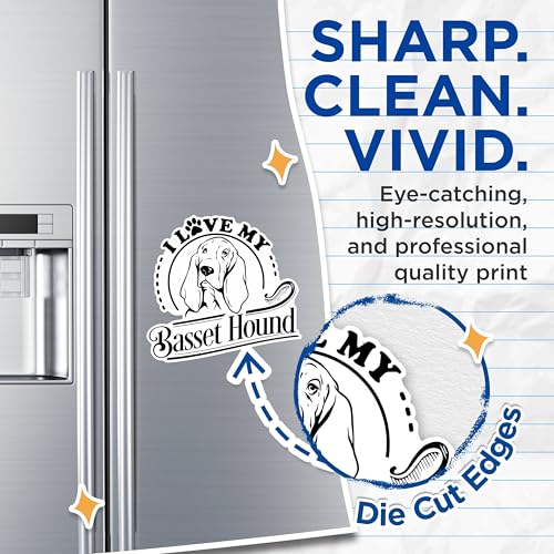 (2 Pack) I Love My Basset Hound Magnets - Dog Breed Lovers Magnets - Basset Hound Owner Decorative Magnets- 5" On Longest Side - for Fridges, Toolboxes, Cars - Made in USA - MAG2963