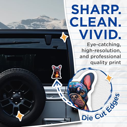 (2 Pack) French Bulldog Illustration Stickers - Cute Dog Stickers - Colorful Pet Stickers - 5" On Longest Side - Sticks to Smooth Flat Surfaces - Made in USA - BMCS3941