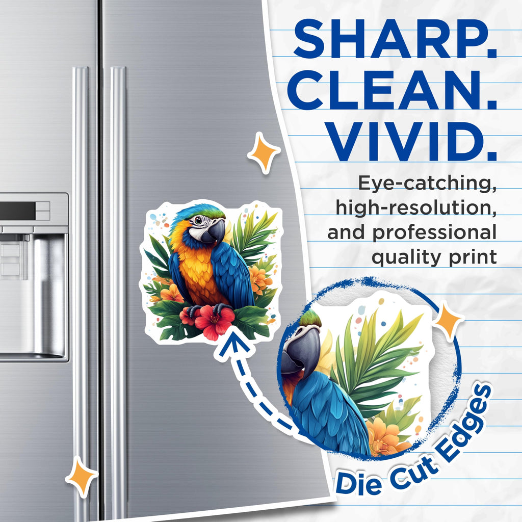 (2 Pack) Tropical Parrot Magnets - Vibrant Macaw Kitchen Decor - Exotic Bird Art Refrigerator Decor - 5 Inches On Longest Side - Thick Durable Magnet - Made in USA - MAG28328