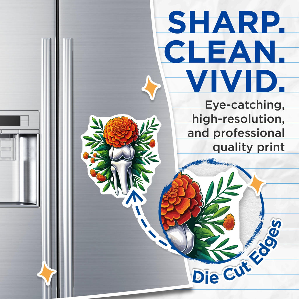 (2 Pack) Marigold Knee Bone Magnets - Anatomical Floral Artwork - Dia de Los Muertos - Orthopedic Surgeon Decor - 5 Inches On Longest Side - Thick Durable Magnet - Made in USA - MAG19601