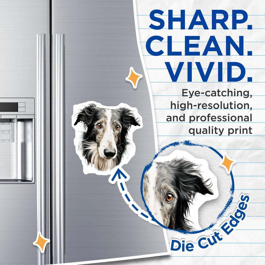 (2 Pack) Border Collie Magnets - Dog Breed Lover Pet Decor - Animal Portrait Refrigerator Magnet - 5 Inches On Longest Side - Thick Durable Magnet - Made in USA - MAG30666